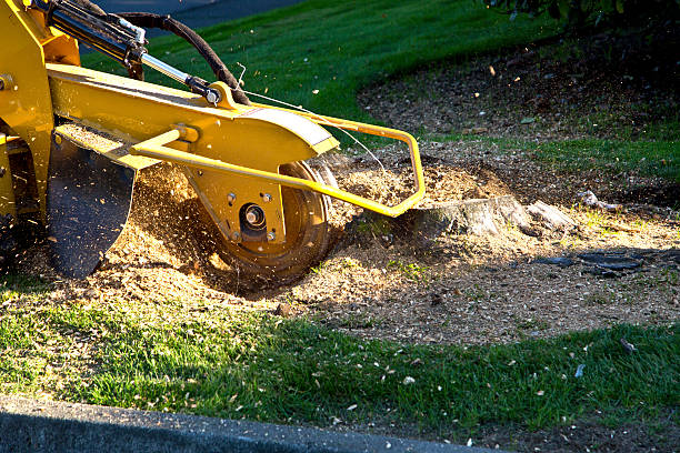 Mulching Services in Solana, FL